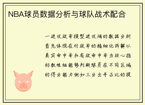 NBA球员数据分析与球队战术配合